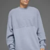 Domain Shift Rib Knit Sweater Crew - Winter Frost