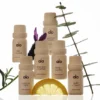 Essential Oil Collection Set