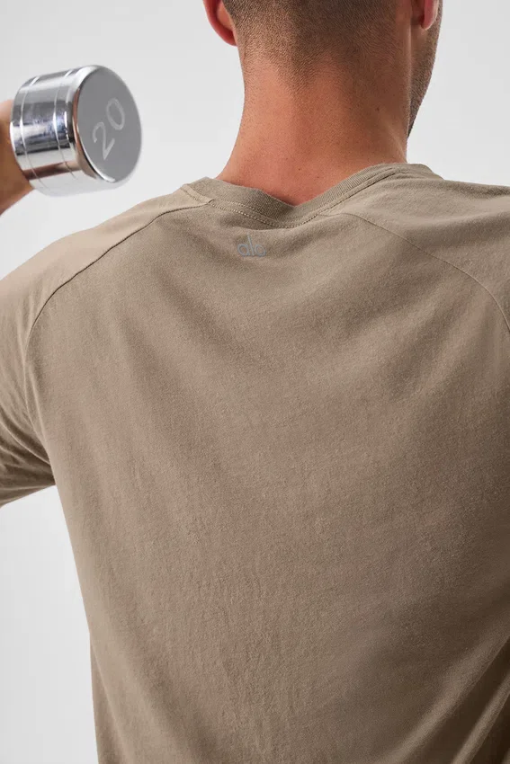 Triumph Raglan Tee - Gravel